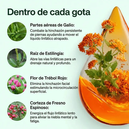 DRENAJE LINFÁTICO | Drena Naturalmente la Hinchazón del Rostro, Abdomen y Piernas