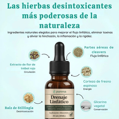 DRENAJE LINFÁTICO | Drena Naturalmente la Hinchazón del Rostro, Abdomen y Piernas